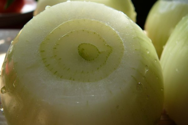 Кракен зеркало onion